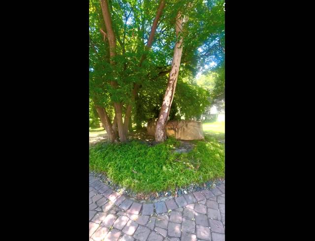 608M² VACANT LAND FOR SALE IN MORNINGSIDE
